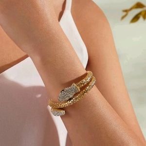 CZ Studded Serpent Bangle Bracelet
